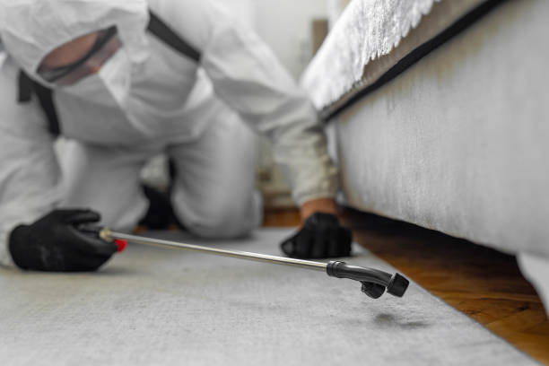 Professional Ant Control technician working in Brentwood, CA