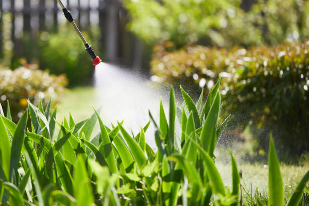 24/7 Emergency Ant Control experts in Brentwood, CA